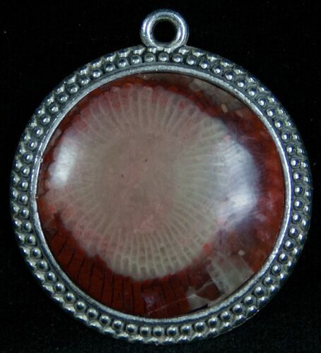 Fossil Red Horn Coral Pendant - Utah #7114